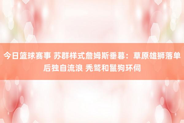 今日篮球赛事 苏群样式詹姆斯垂暮：草原雄狮落单后独自流浪 秃鹫和鬣狗环伺