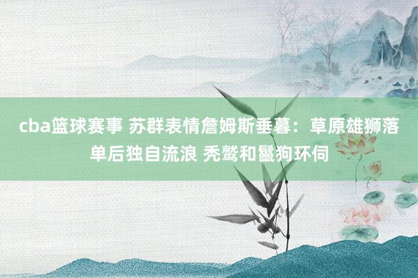 cba篮球赛事 苏群表情詹姆斯垂暮：草原雄狮落单后独自流浪 秃鹫和鬣狗环伺